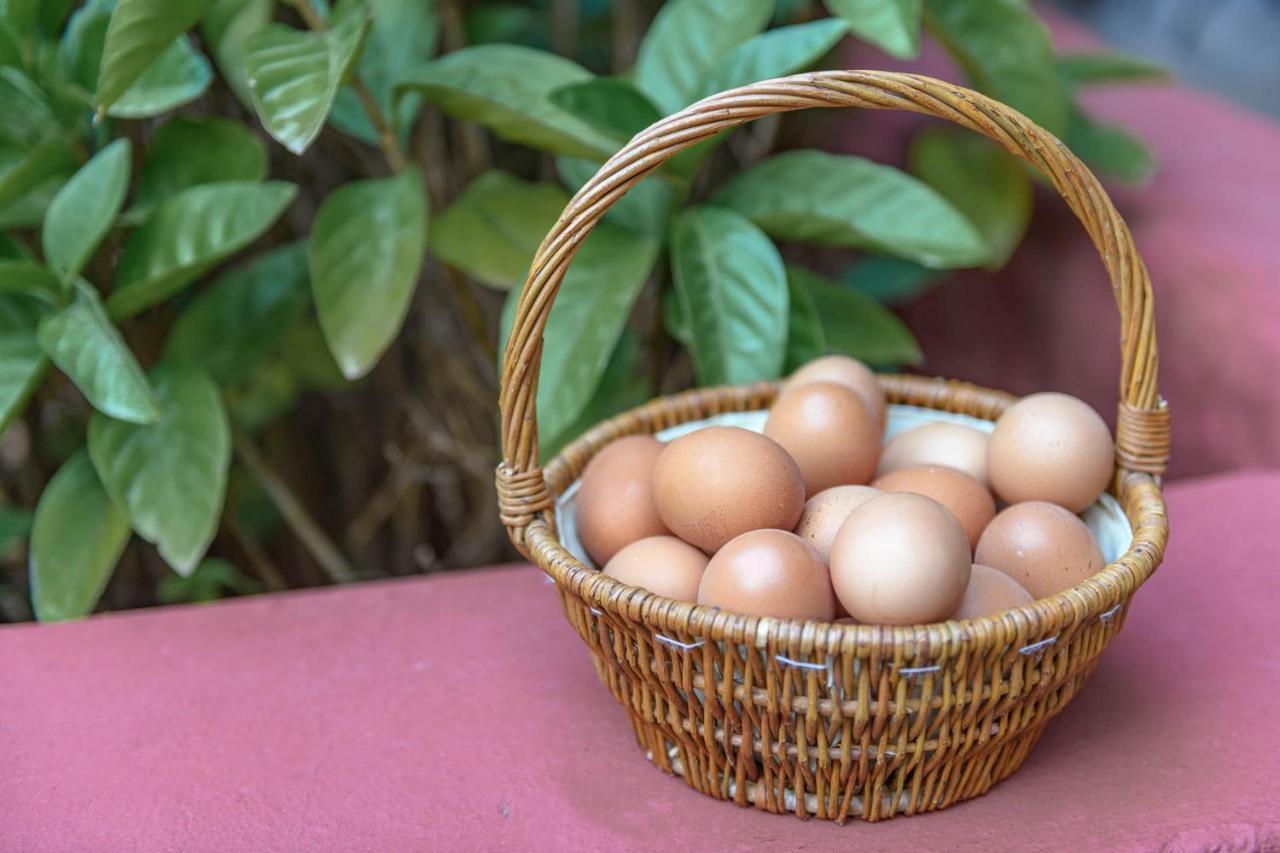 Hotel Rural Las Longueras Agaete  Ngoại thất bức ảnh